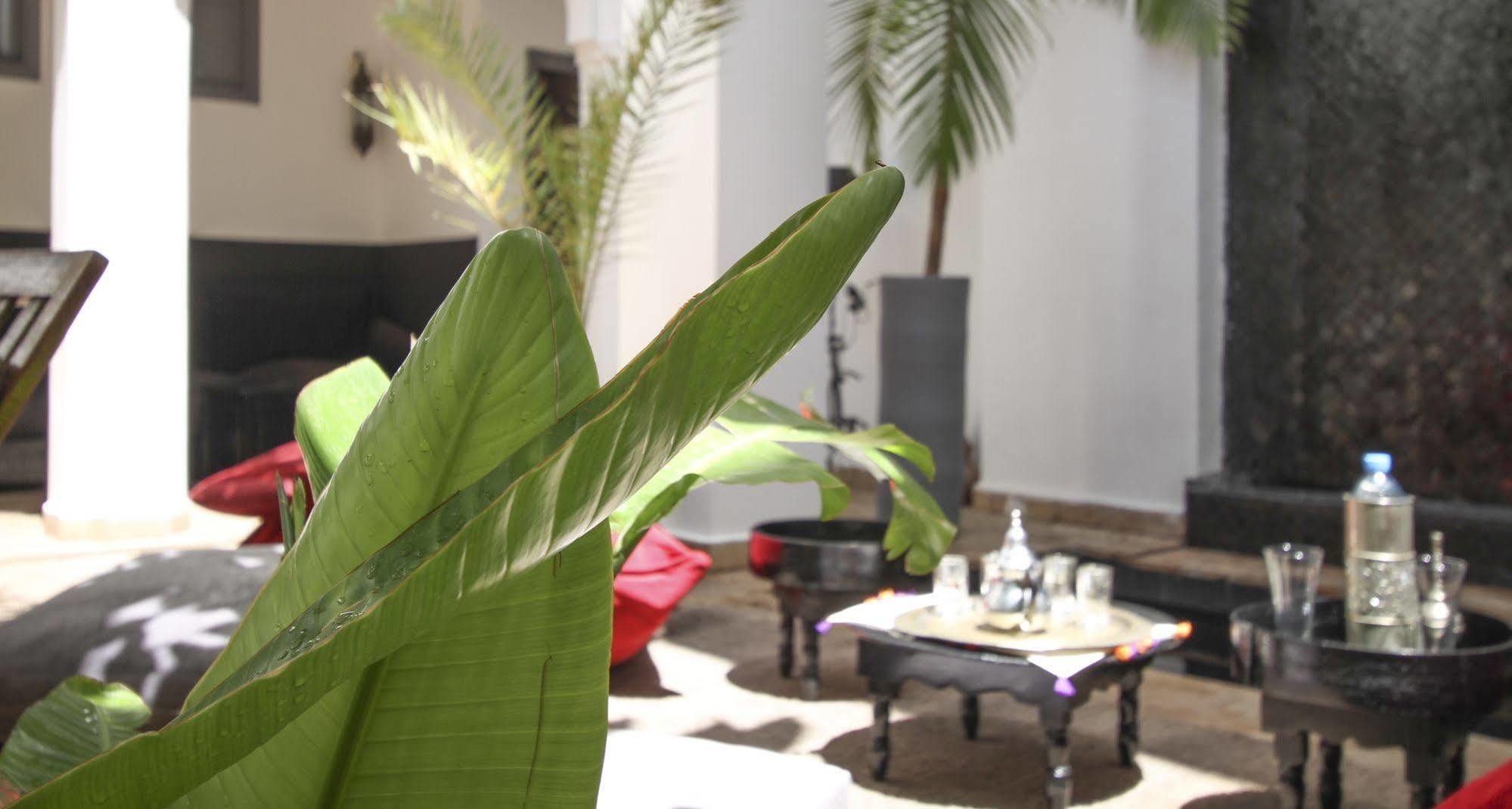 Riad 64 Maison D'Hotes & Spa Marrakesh Ngoại thất bức ảnh